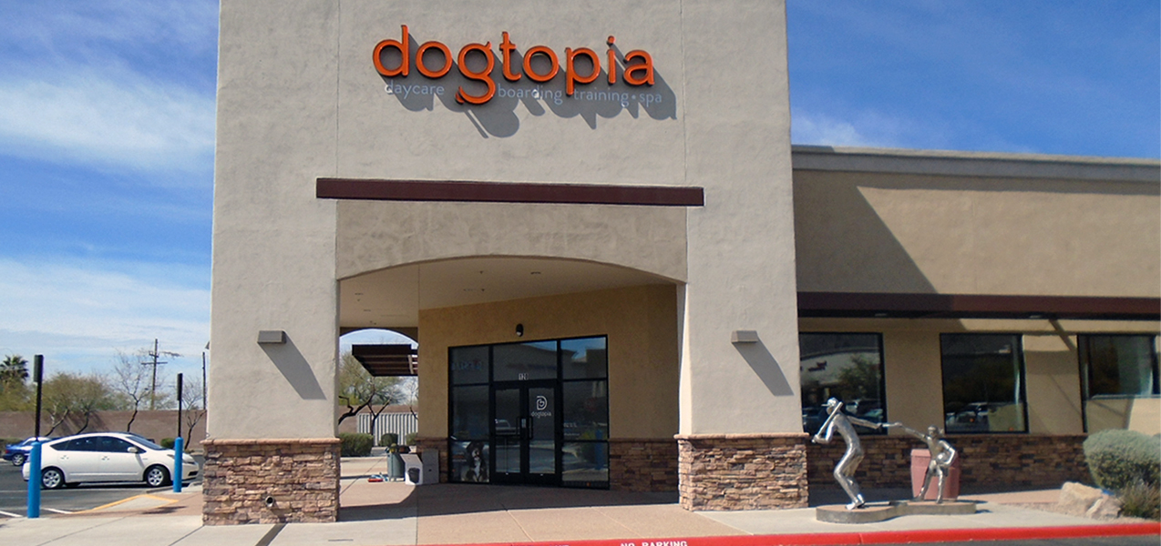 The Dogtopia sign was installed above the arched stone entryway of one location.