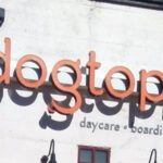The Dogtopia sign is seen against the white brick facade of one groomer location.